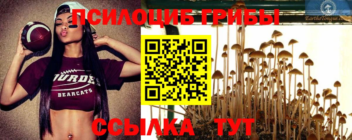 Псилоцибиновые грибы прущие грибы  Вход с VPN  Выборг 