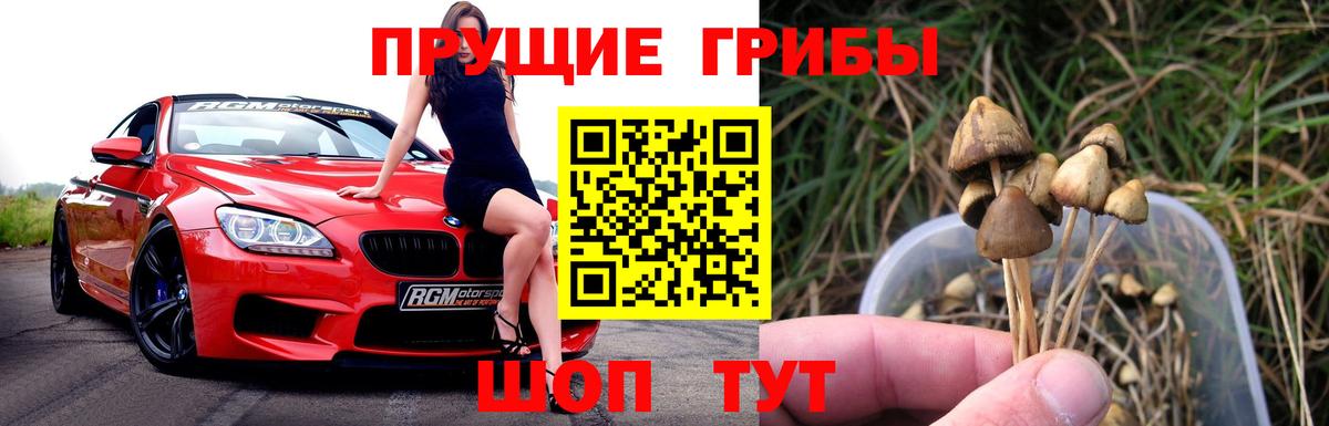 Псилоцибиновые грибы ЛСД Выборг
